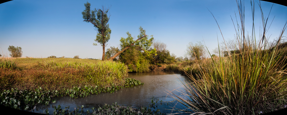 _DSC1292 Panorama.jpg